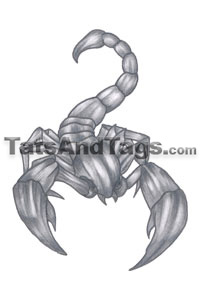 Scorpion Temporary Tattoo