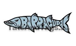 barracudas temporary tattoo