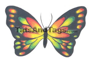 Butterfly Temporary Tattoo