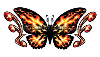 Cold butterfly temporary tattoo