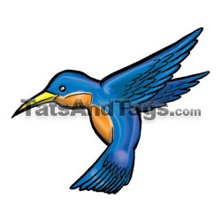 hummingbird temp tattoo