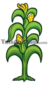corn stalk temporary tattoo