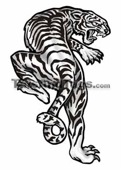 climbing white tiger temporary tattoo
