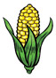 corn temporary tattoo