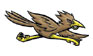 Roadrunner Temporary Tattoo