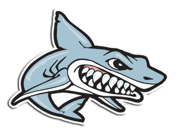 shark vinyl decal