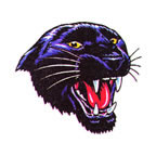 Panther Head