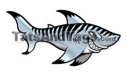 gray tiger shark temporary tattoo