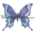 blue butterfly temporary tattoo