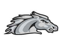 Broncos temporary tattoo