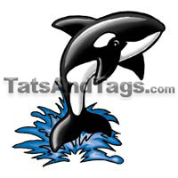 Orca temporary tattoo