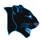 Panther temporary tattoo