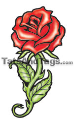 red rose temporary tattoo