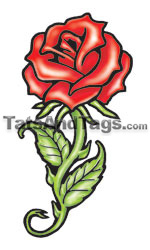 red rose temporary tattoo 