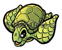sea turtle temporary tattoo
