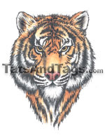 Tiger Head