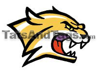 Wildcats temporary tattoo