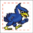 bluejay mascot temporary tattoo blue jay temporary tattoo