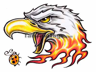 eagle head temporary tattoo