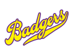 badgers temporary tattoo