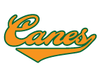 canes temporary tattoo