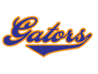 gators temporary tattoo