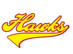 hawks temporary tattoo