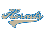 hornets temporary tattoo