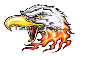 eagle head temporary tattoo