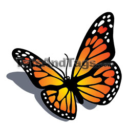 monarch butterfly temporary tattoo