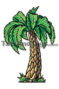 palm tree temporary tattoo