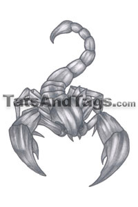 scorpion temporary tattoo