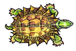 turtle temporary tattoo