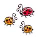 Lady Bug  temporary tattoo