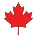 Canada flag mapple leaf temporary tattoo
