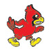 Cardinals temporary tattoo