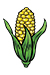 corn temporary tattoo