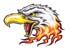 Eagle temporary tattoo