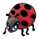 Lady bug temporary tattoo