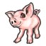 Cute Pig temporary tattoo