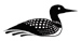 Loon temporary tattoo