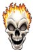Flaming Skull Temporary Tattoo