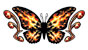 Hot Tribal Butterfly Temporary Tattoo