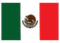 Mexico Flag  temporary tattoo