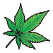 pot leaf temporary tattoo