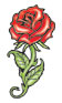Red rose temporary tattoo