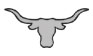 Longhorns Temporary Tattoo
