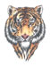 Tiger head temporary tattoo